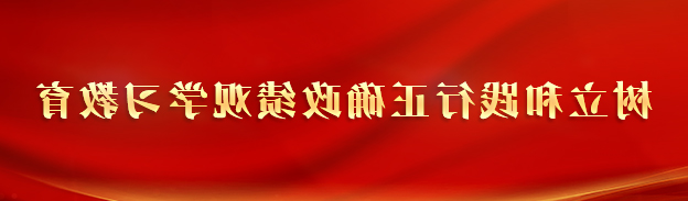 树立和践行正确政绩观学习教育